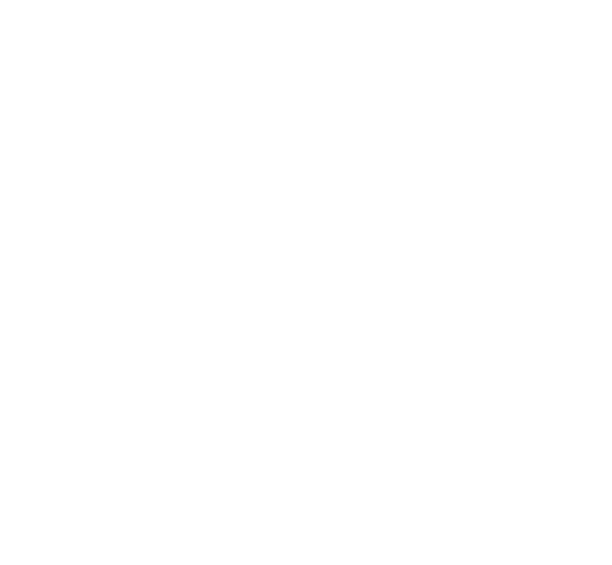 The Amputees and Families Support Group Qld